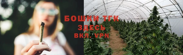 соль ск Белокуриха