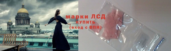 соль ск Белокуриха