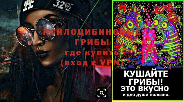 соль ск Белокуриха
