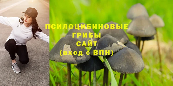 соль ск Белокуриха