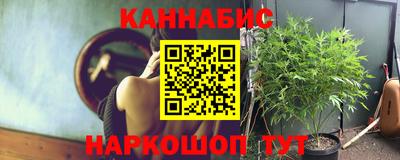 мет Моздок
