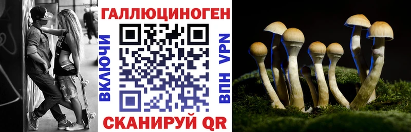 Псилоцибиновые грибы мухоморы  нарко площадка как зайти  Бутурлиновка 