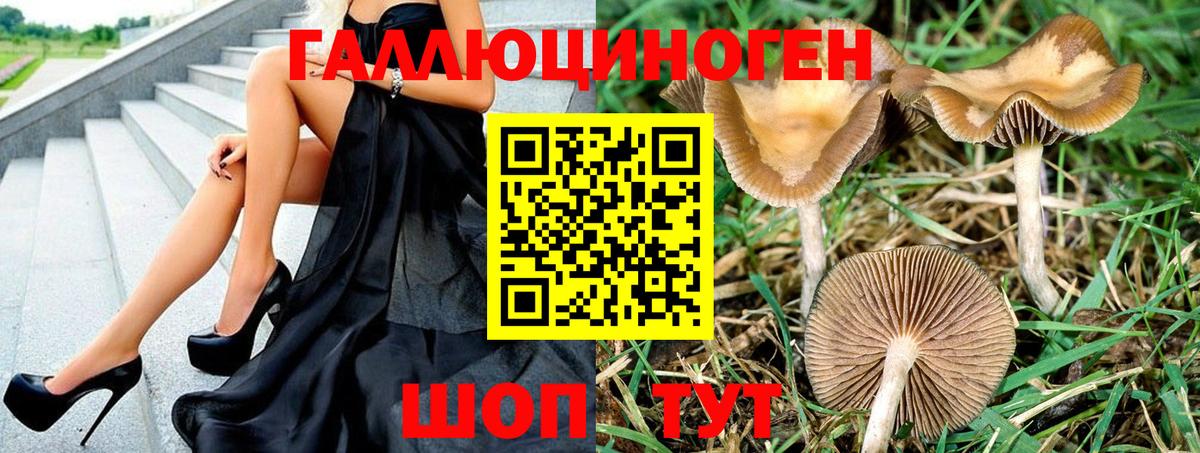 Бутурлиновка  дарнет шоп  Вход с VPN  Псилоцибиновые грибы прущие грибы  Галлюциногенные грибы MAGIC MUSHROOMS 